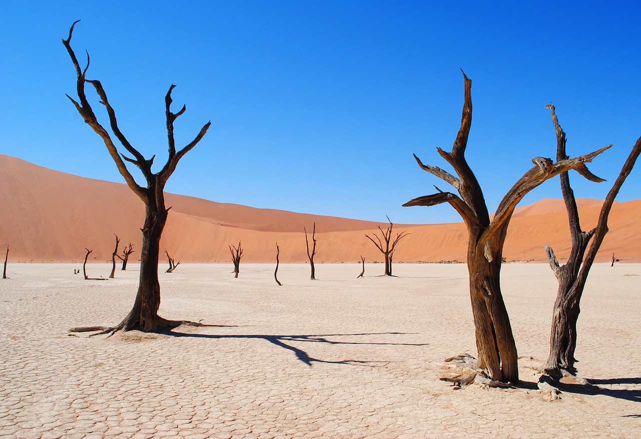 /Zeronaut/allisthewave-hugo-web/raw/commit/9cc165b465837eb4b32a70e75a1e078279f614c0/content/posts/2024-11-12-desert-power/featured.jpg