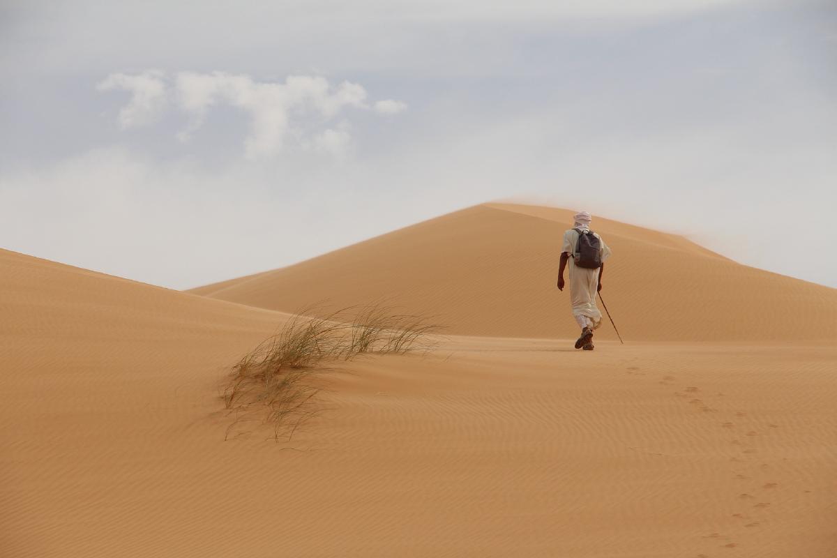/Zeronaut/allisthewave-hugo-web/raw/commit/fb049b38fd20ce6da824ec0e8d7778534bf958b9/public/posts/2024-11-11-desert-power/featured_hu14621546382146752889.jpg