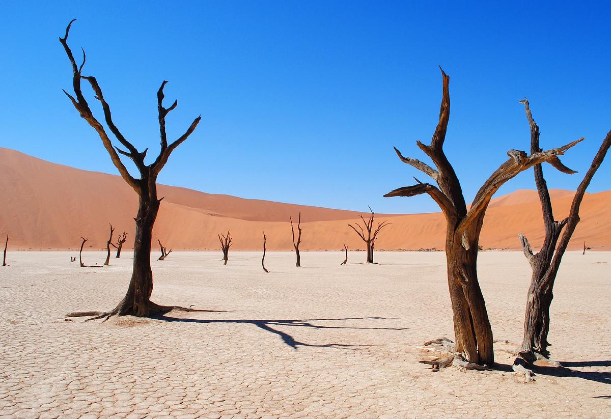 /Zeronaut/allisthewave-hugo-web/raw/commit/fb049b38fd20ce6da824ec0e8d7778534bf958b9/public/posts/2024-11-12-desert-power/featured_hu7964885777479681947.jpg